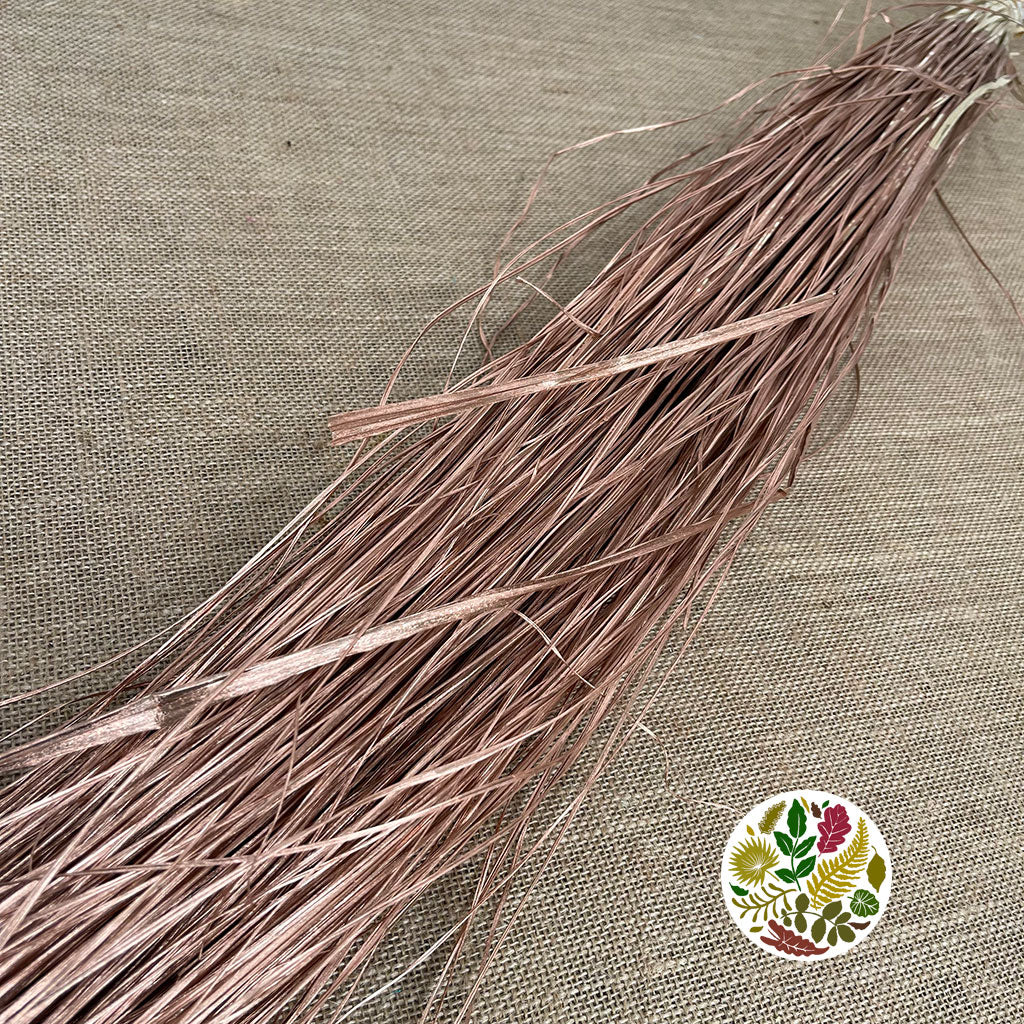 Grass 'Bear Grass' XXL (Painted) (Various Colours)