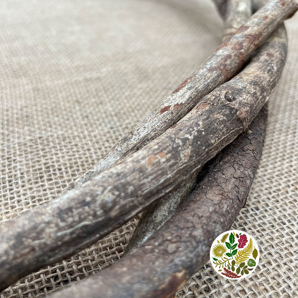 Wreath 'Twisted Vine' (Natural) (DRY)