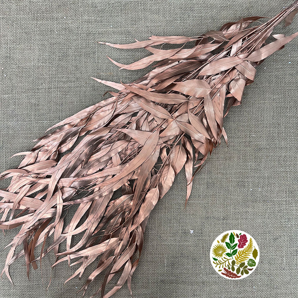 Eucalyptus &#39;Exotica&#39; (Preserved &amp; Painted) (DRY) (Various Colours)