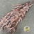 Eucalyptus 'Exotica' (Preserved & Painted) (DRY) (Various Colours)
