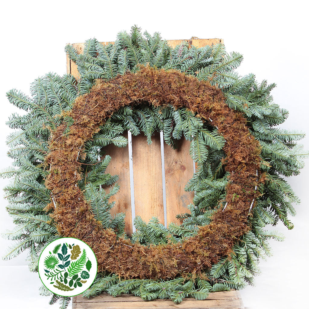 &#39;Blue Pine&#39; Wreaths (Various Sizes) (Metal Mossed Frames)