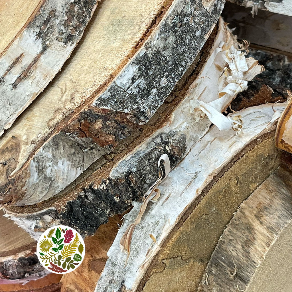 Wood Slices Wild (Round)