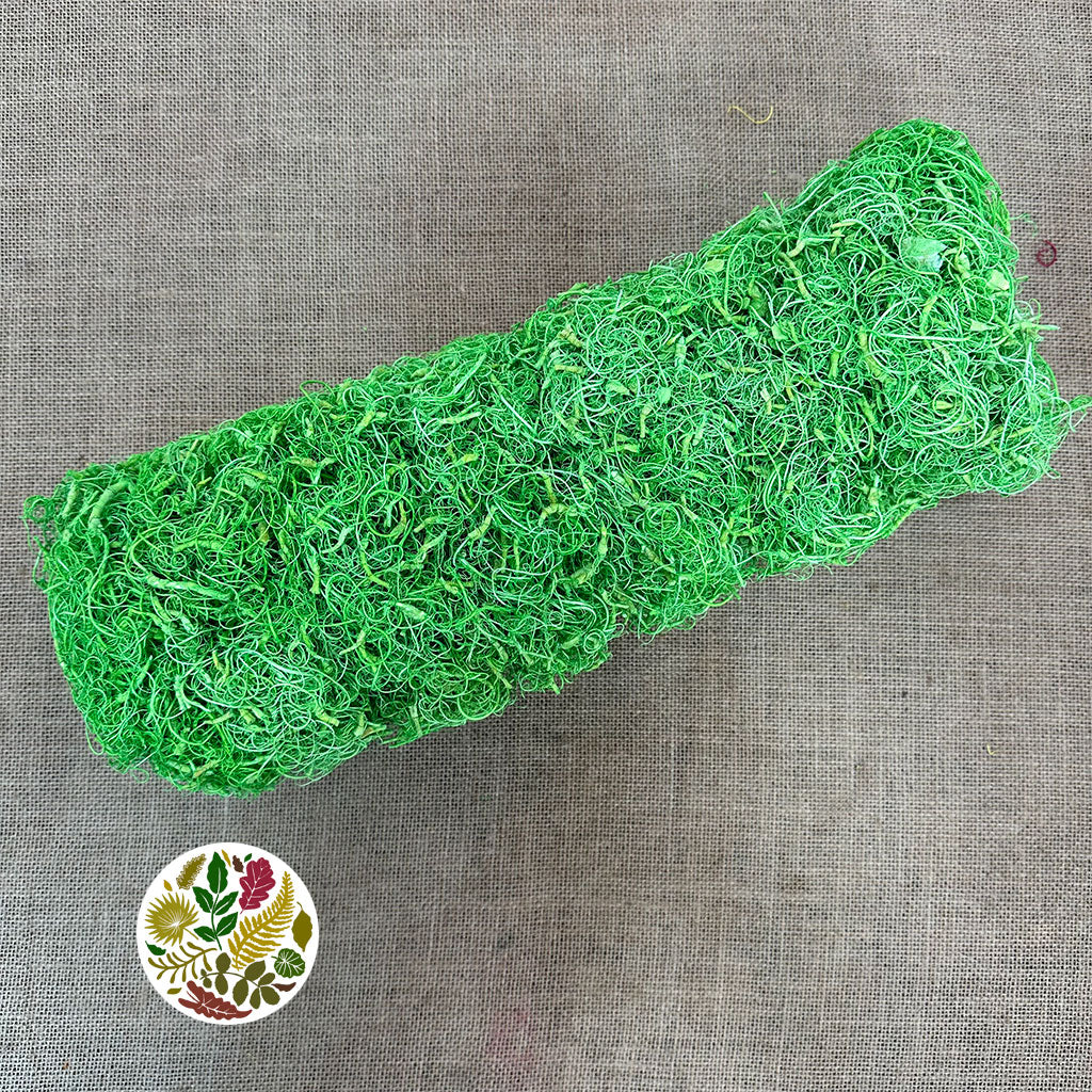 Moss 'Curly Moss' (Coloured) (DRY) (Various) (500g)