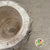 Cork Bark 'Bowl' (Paulowina) (DRY) (Various Sizes)