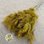 Grass 'Umbrella Heads' (Painted) (DRY) (Various Colours) (x10)