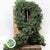 Garland 'Blue Pine' (Various Lengths) 'Per Foot'