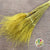 Grass 'Stipa Pennata' (DRY) (Various Colours) 50cm