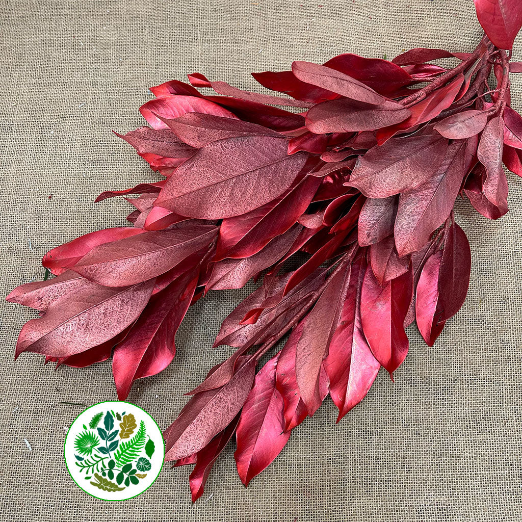 Magnolia &#39;Foliage&#39; (Painted Metallic) (Various Colours) 80cm (300g)
