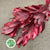 Magnolia 'Foliage' (Painted Metallic) (Various Colours) 80cm (300g)