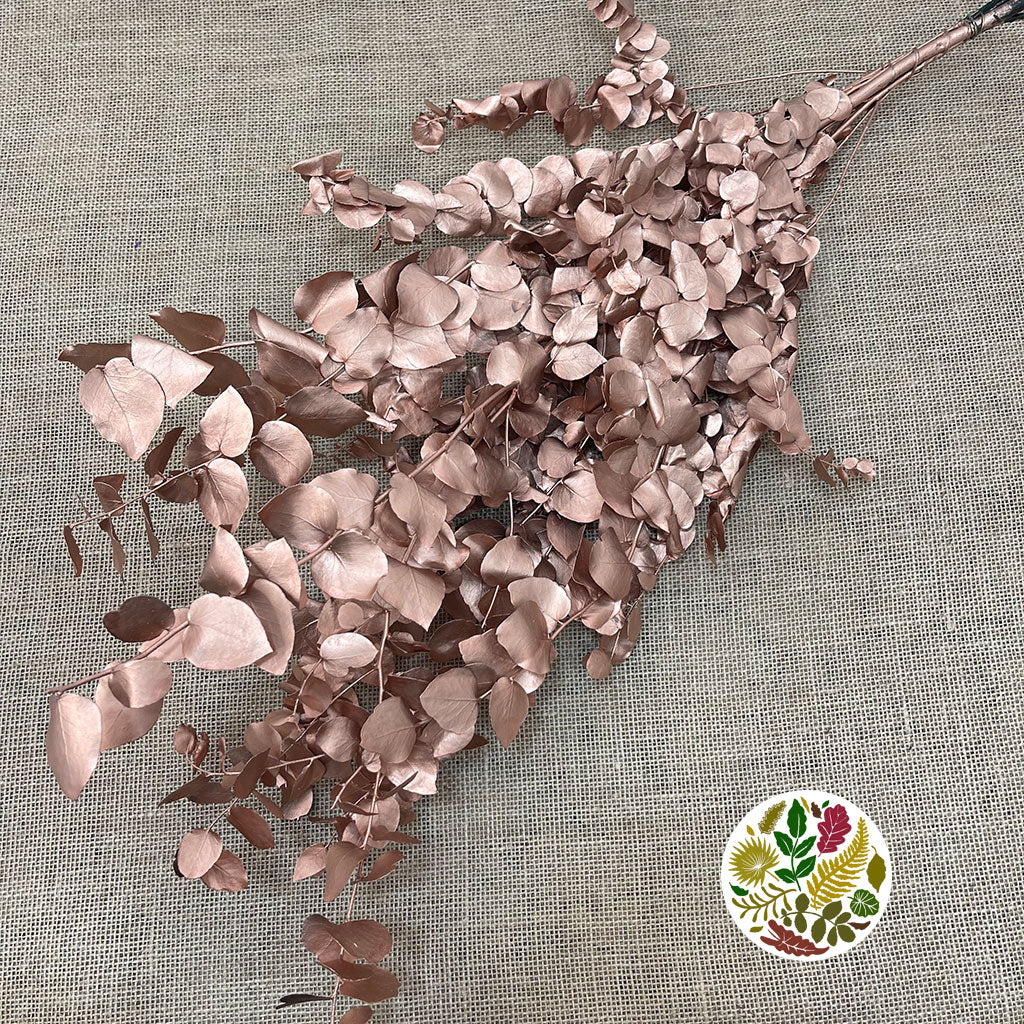 Eucalyptus 'Stuartiana' (Stabilised) (Painted) (DRY) (Various Colours)