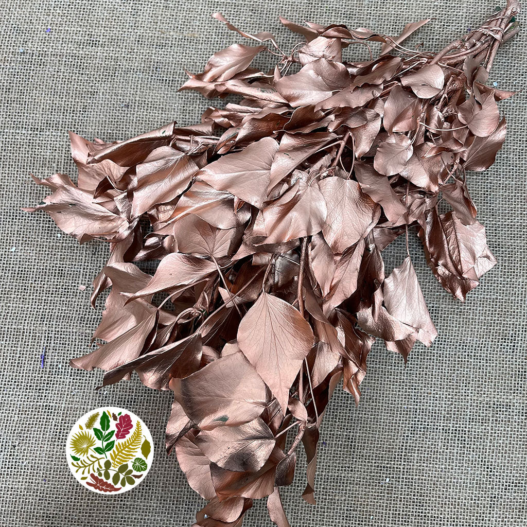 Ivy 'Foliage' (Preserved & Painted) (DRY) (Various Colours)