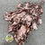 Ivy 'Foliage' (Preserved & Painted) (DRY) (Various Colours)