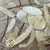 Lunaria (Natural) (DRY) (Various Sizes)