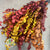Eucalyptus 'Stuartiana' (Stabilised) (Coloured) (DRY) (Various Colours)