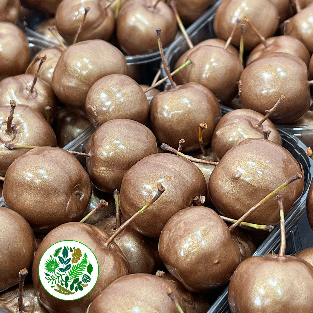 Waxed &#39;Crab Apples&#39; (Various Colours) (Small Tray)