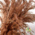 Grass 'Reed Grass' (Wild Plume) (Coloured) (DRY) (x10)