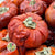 Fruit 'Pumpkini 'Mini' (DRY) (Various Sizes)