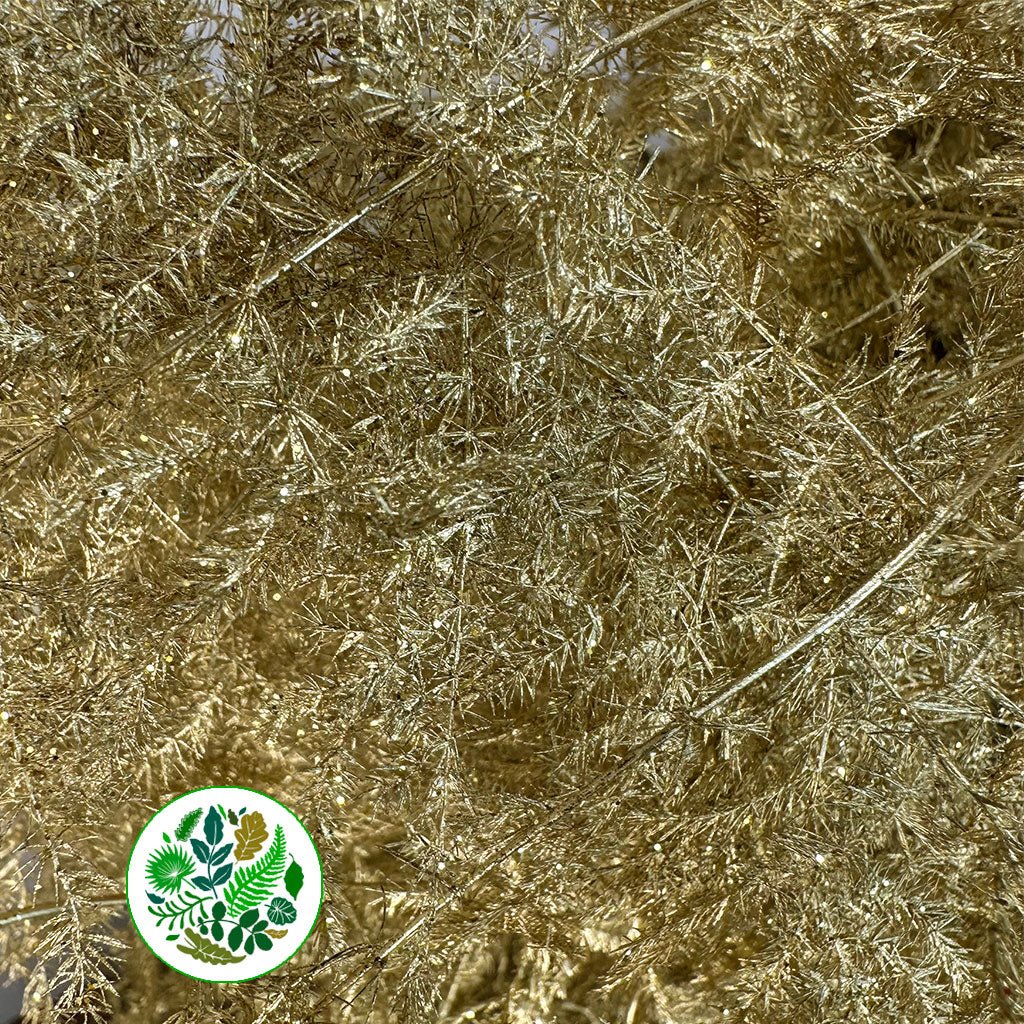 Fern &#39;Asparagus&#39; (Painted/Glitter) 85cm (Various Colours) (x50)