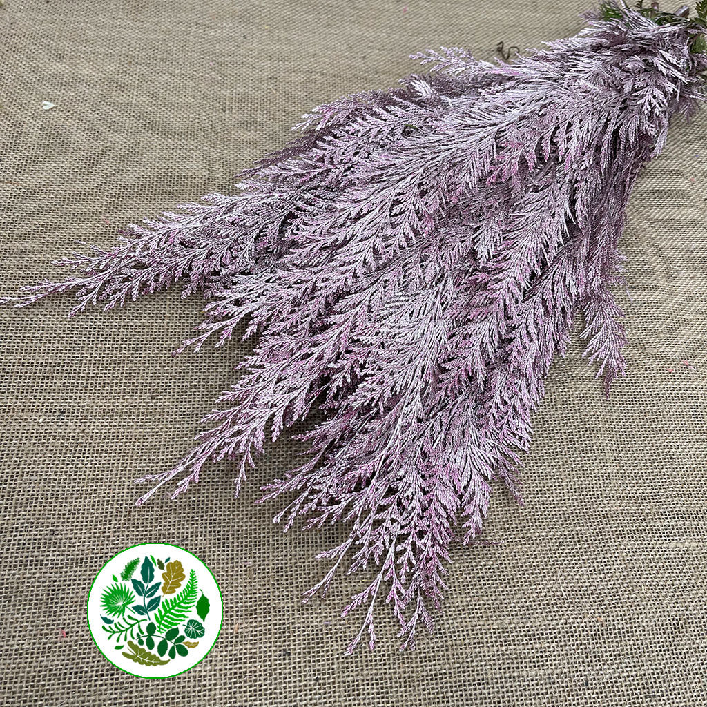 Conifer (Painted) (Various Colours)