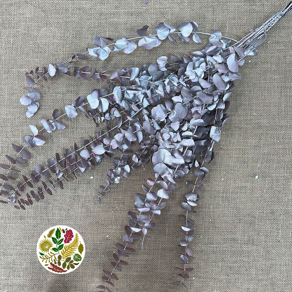 Eucalyptus &#39;Baby Blue&#39; (Preserved &amp; Painted) (DRY) (Various Colours)