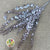 Eucalyptus 'Baby Blue' (Preserved & Painted) (DRY) (Various Colours)