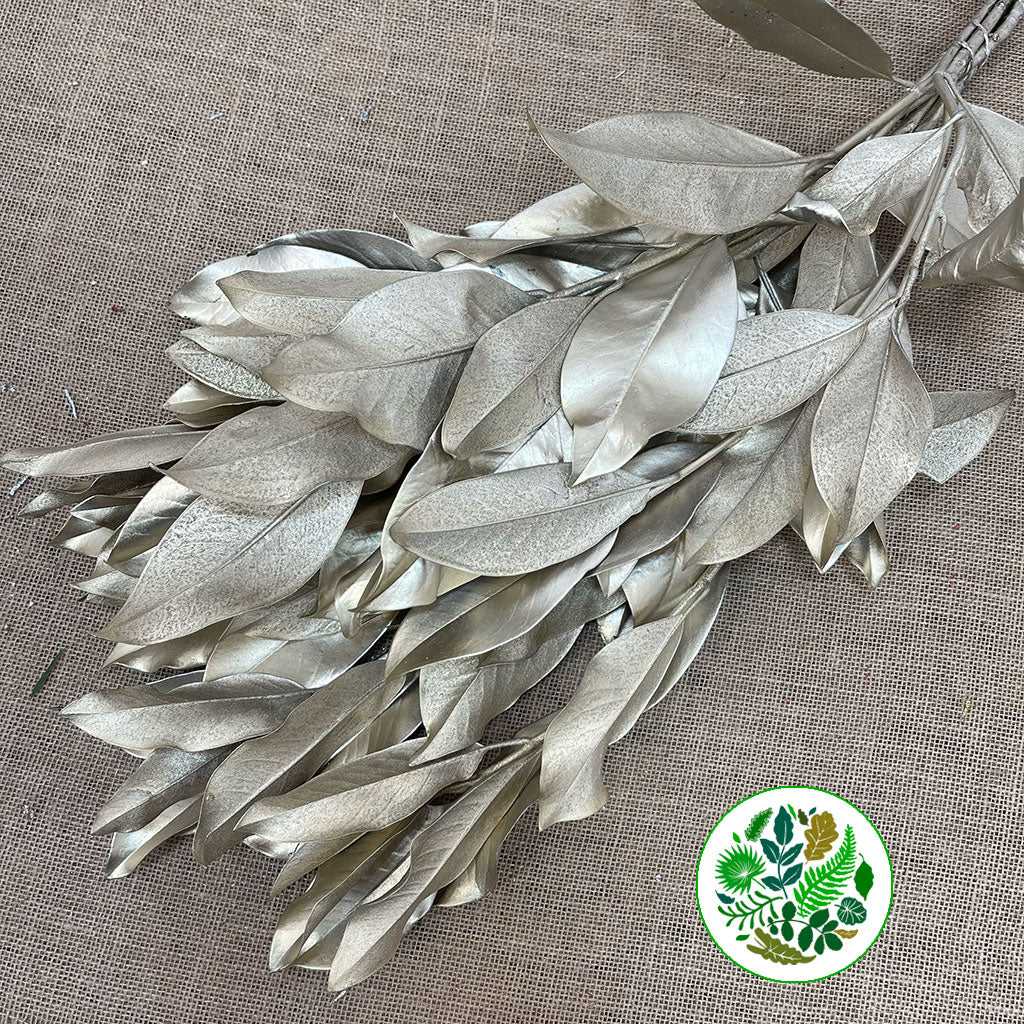 Magnolia &#39;Foliage&#39; (Painted Metallic) (Various Colours) 80cm (300g)