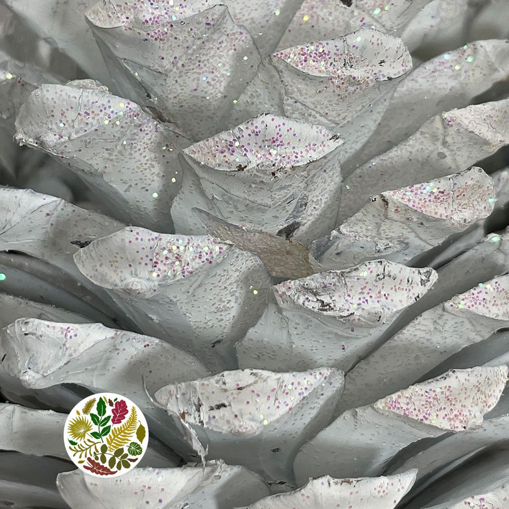 Cones &#39;Maritima&#39; (Painted &amp; Glittered) 10-14cm (DRY) (x6)