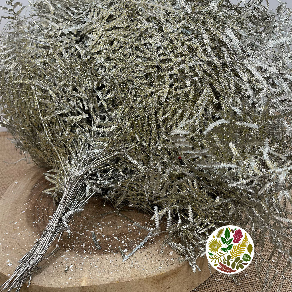 Fern 'Coral Fern' (Painted or Glittered) (x10)