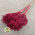 Grass 'Umbrella Heads' (Painted) (DRY) (Various Colours) (x10)