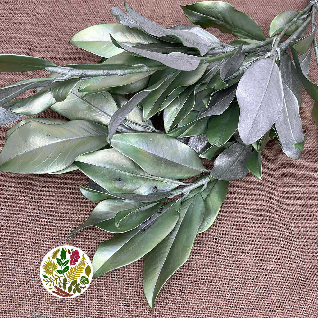 Magnolia &#39;Foliage&#39; (Painted Metallic) (Various Colours) 80cm (300g)