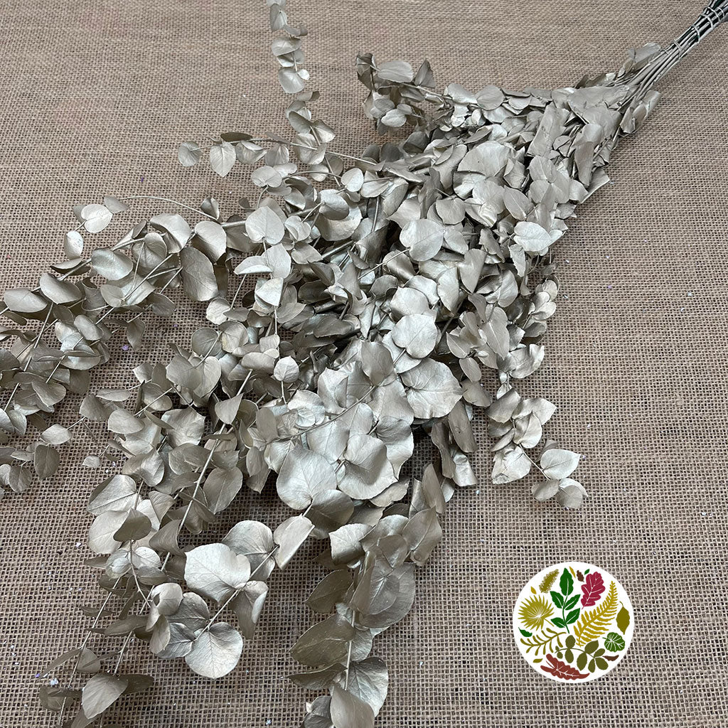 Eucalyptus 'Stuartiana' (Stabilised) (Painted) (DRY) (Various Colours)