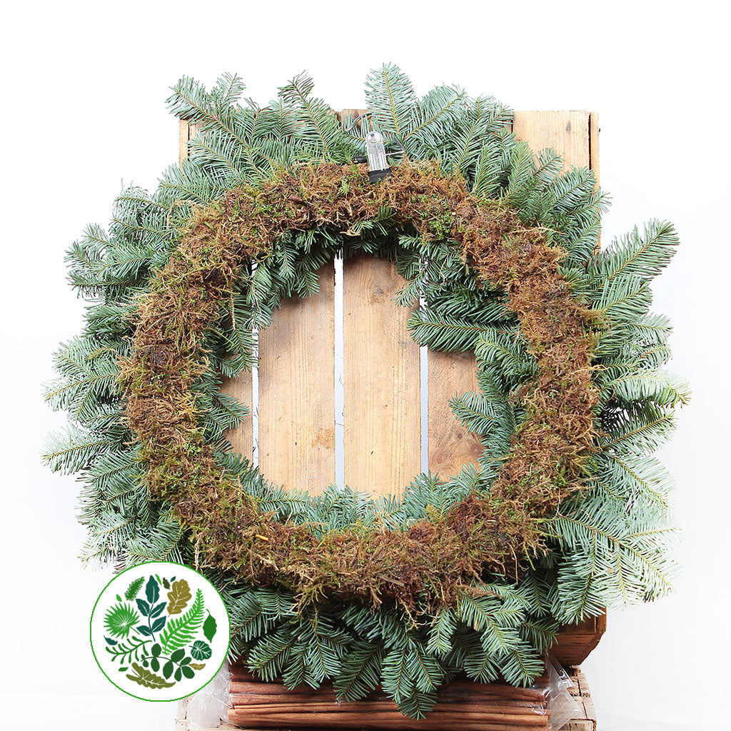 &#39;Blue Pine&#39; Wreaths (Various Sizes) (Metal Mossed Frames)