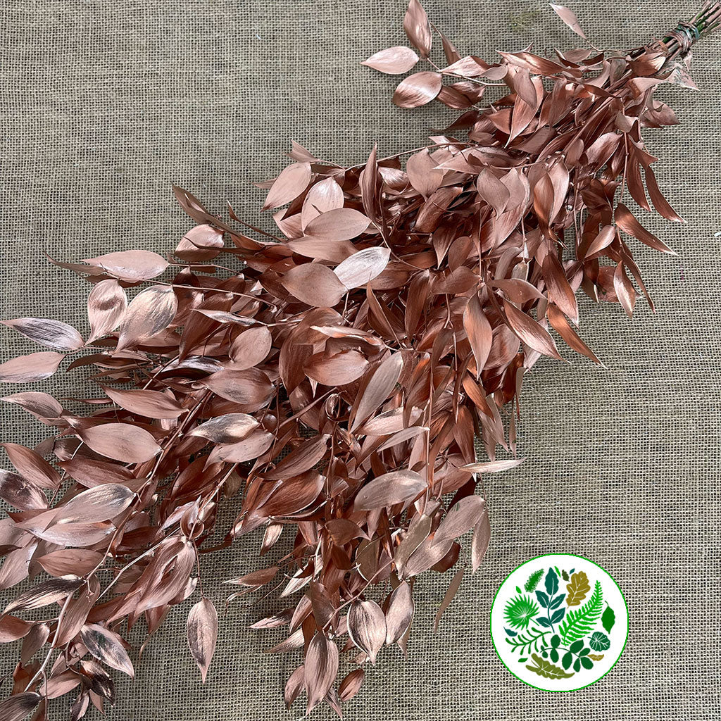 Ruscus &#39;Trailing&#39; Fresh (Painted Metallic Colours) (Various)