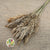 Grass 'Reed Grass' (Wild Plume) (Natural) (DRY) 90cm (x10)