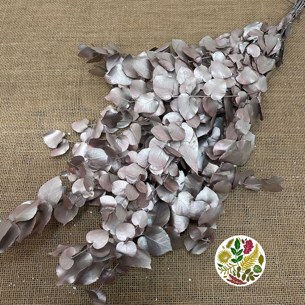 Eucalyptus 'Stuartiana' (Stabilised) (Painted) (DRY) (Various Colours)