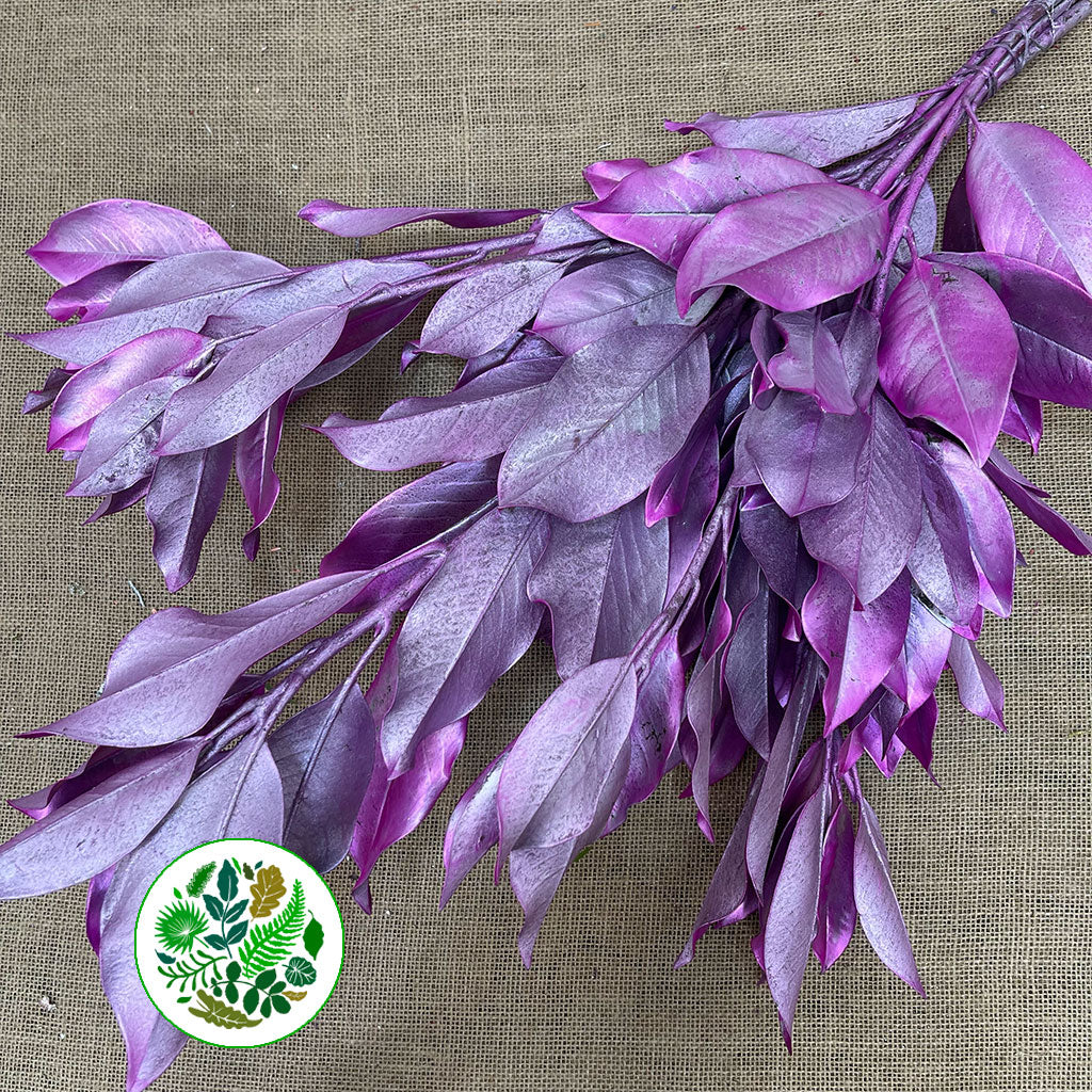 Magnolia &#39;Foliage&#39; (Painted Metallic) (Various Colours) 80cm (300g)