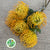 Pincushion Protea 'Jelena' (Various Lengths)