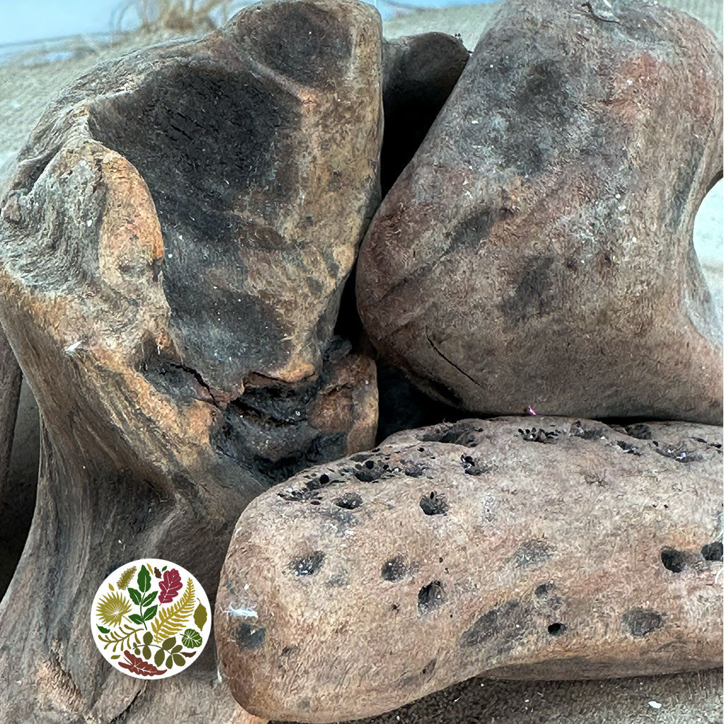 Driftwood &#39;Pieces&#39; (Natural) (Various Sizes)