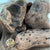 Driftwood 'Pieces' (Natural) (Various Sizes)