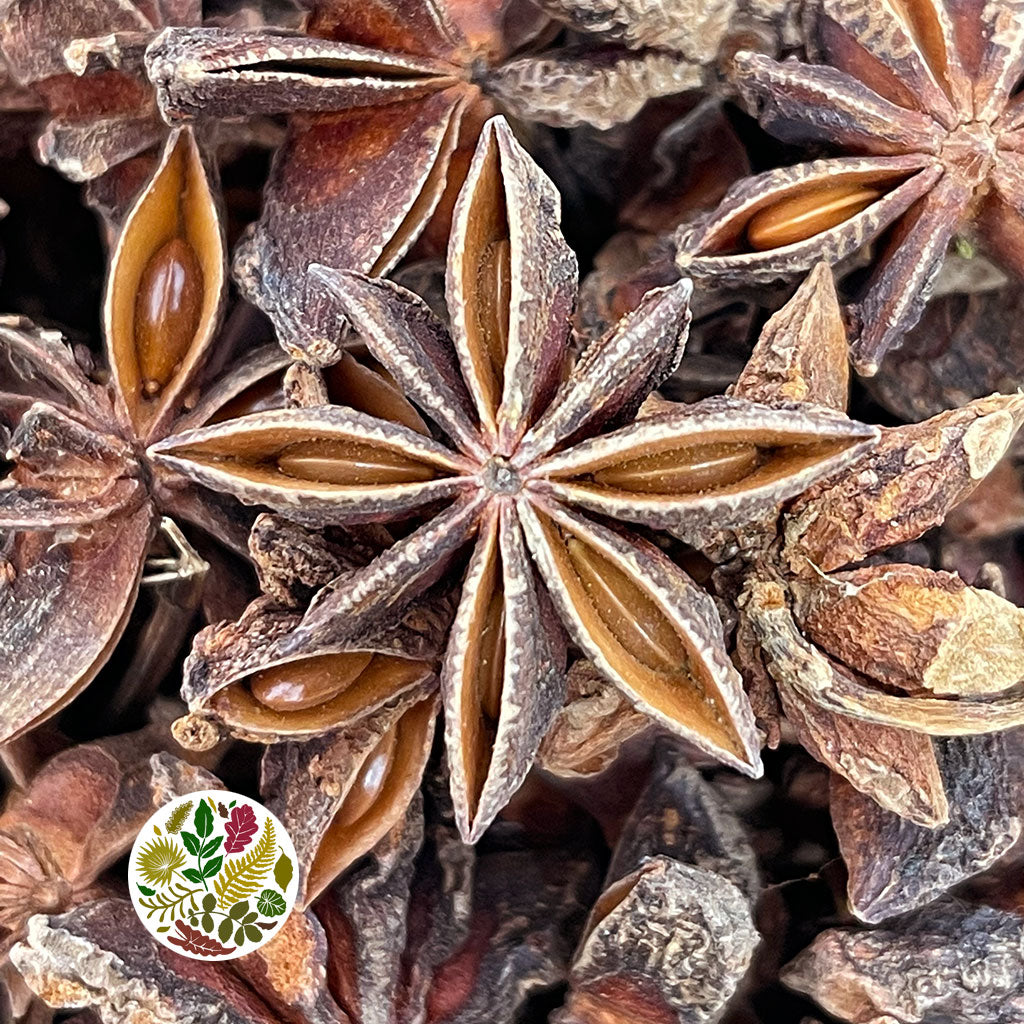 Herb &#39;Star Anise&#39; (DRY) (Various Sizes)