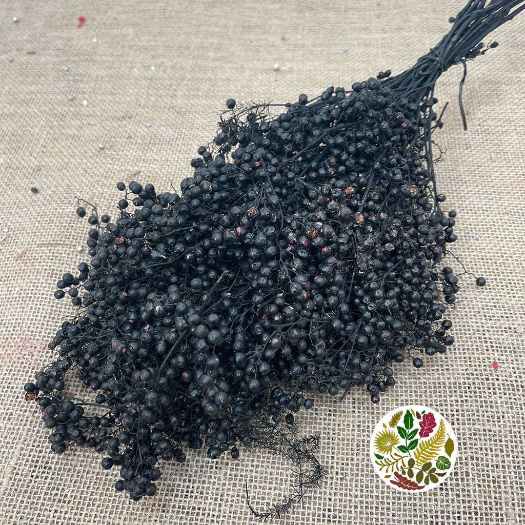 Schinus Molle Fruit (Painted) (DRY) (Various Colours)