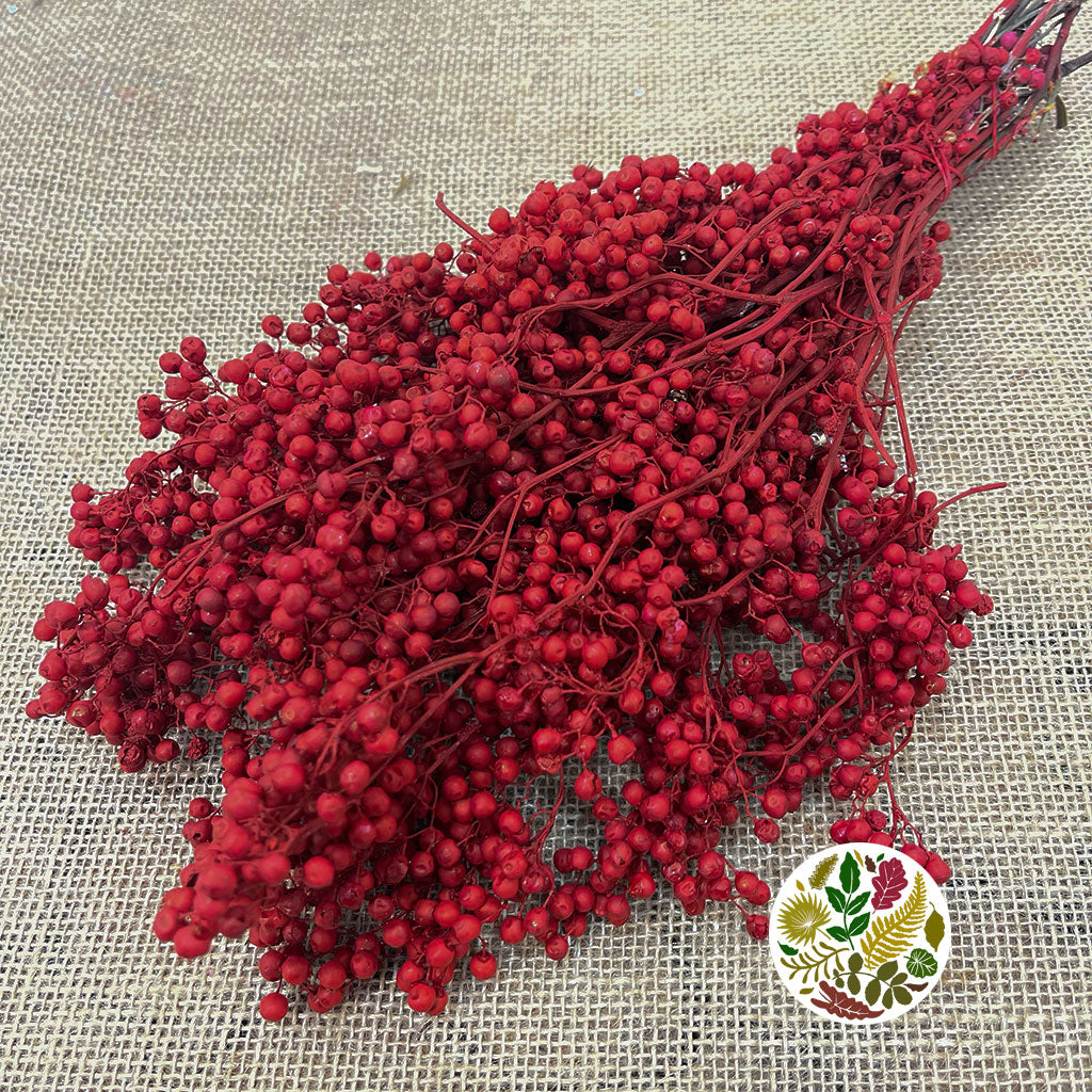 Schinus Molle Fruit (Painted) (DRY) (Various Colours)