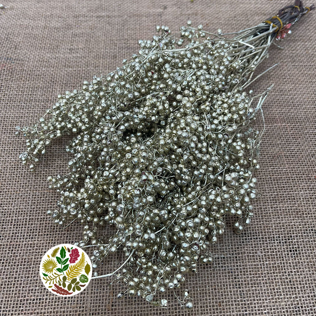 Schinus Molle Fruit (Painted) (DRY) (Various Colours)