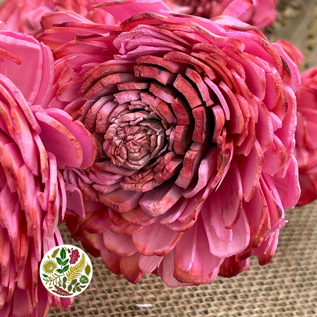Shola (Man Made) &#39;Ranunculus&#39; (Various Colours) (7pcs) 60cm