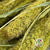 Grass 'Setaria' (DRY) (Coloured) (Various)