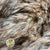 Grass 'Reed Grass' (Wild Plume) (Natural) (DRY) 90cm (x10)