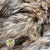 Reed Grass Wild Plume 'Natural' DRY 90cm (x10)