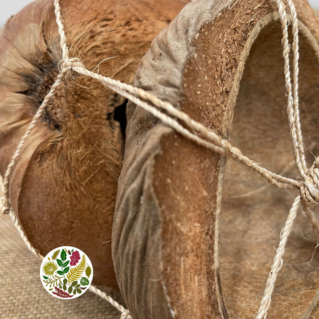 Coconut 'Shells' (DRY) (Various Sizes)