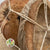 Coconut 'Shells' (DRY) (Various Sizes)