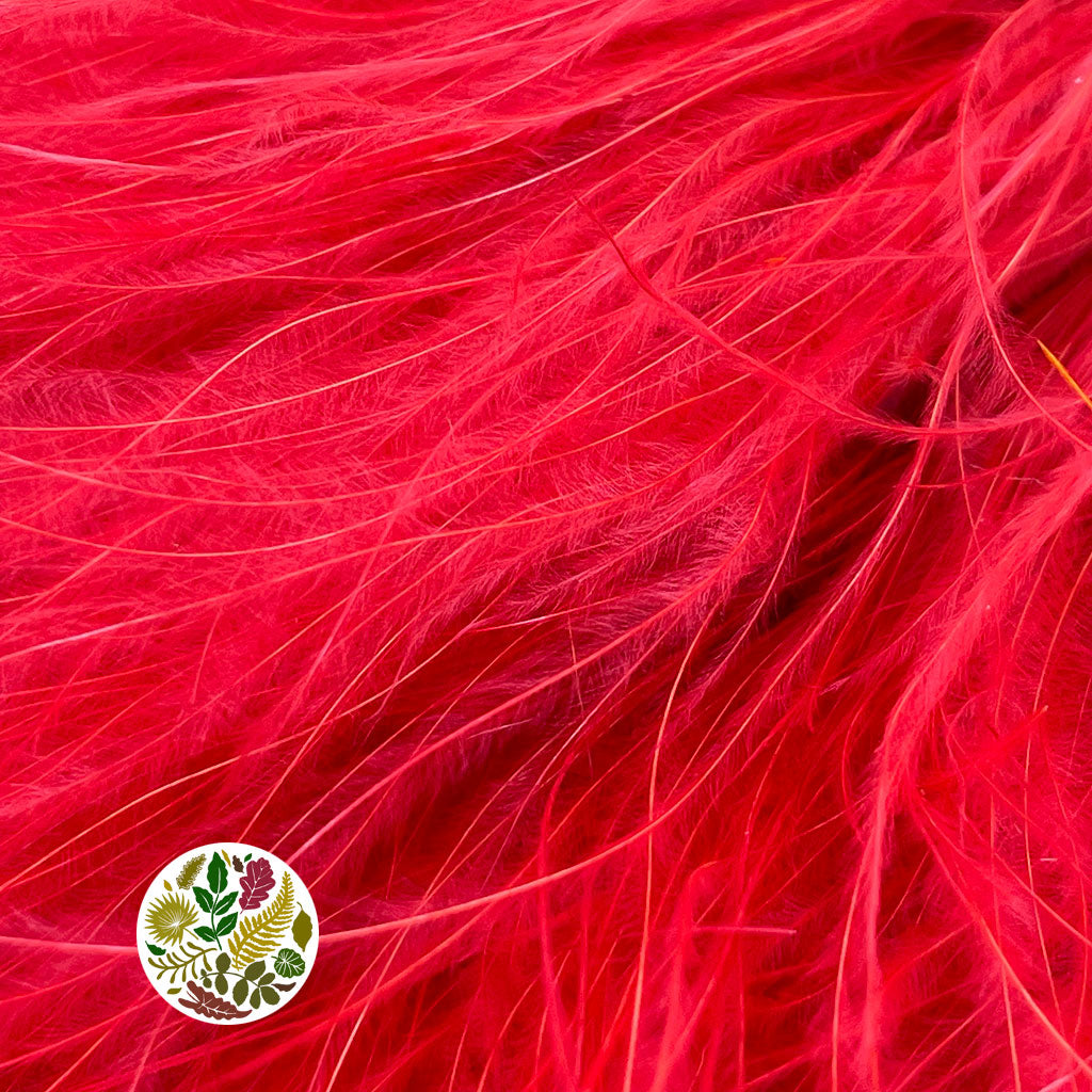 Grass &#39;Stipa Pennata&#39; (DRY) (Various Colours) 50cm